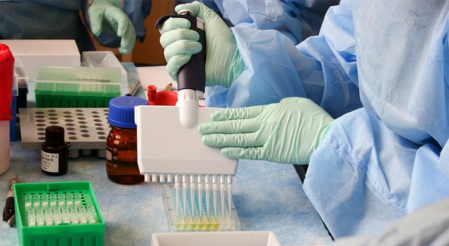 Innate Pharma signale une forte baisse de ses revenus et prévoit une trésorerie jusqu’au T3 2026